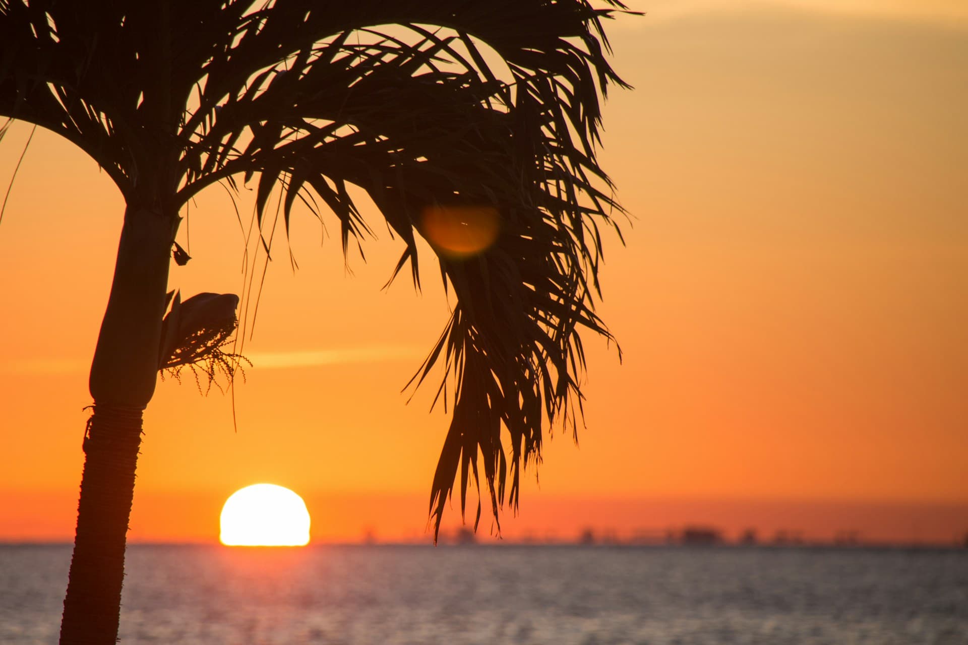 Gulf of Mexico sunset over Tampa Bay